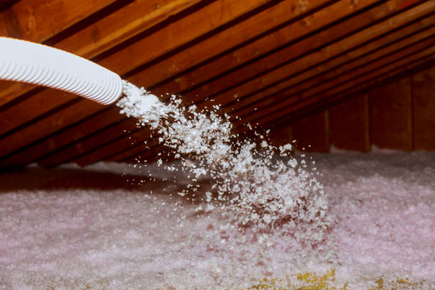 Best Commercial Insulation in Chetek, WI